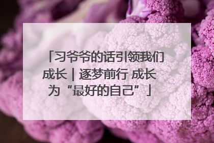 习爷爷的话引领我们成长｜逐梦前行 成长为“最好的自己”