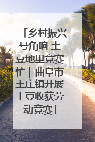 乡村振兴号角响 土豆地里竞赛忙｜曲阜市王庄镇开展土豆收获劳动竞赛