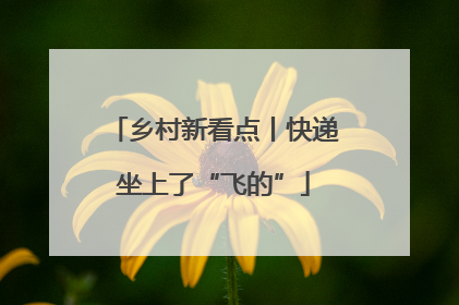 乡村新看点丨快递坐上了“飞的”
