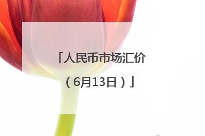 人民币市场汇价（6月13日）