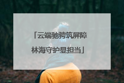 云端驰骋筑屏障 林海守护显担当