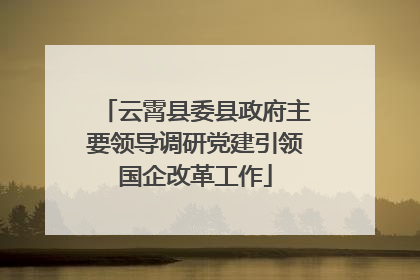 云霄县委县政府主要领导调研党建引领国企改革工作
