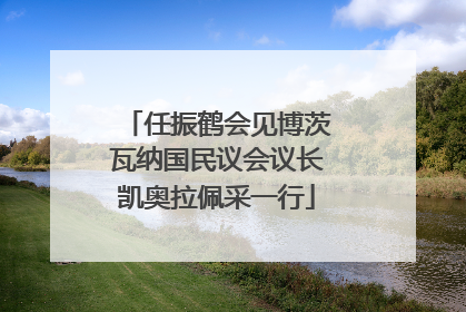 任振鹤会见博茨瓦纳国民议会议长凯奥拉佩采一行