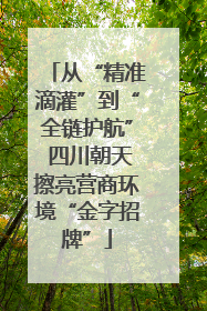 从“精准滴灌”到“全链护航” 四川朝天擦亮营商环境“金字招牌”