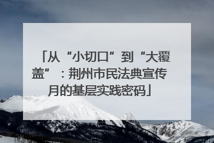 从“小切口”到“大覆盖”：荆州市民法典宣传月的基层实践密码