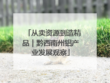 从卖资源到造精品｜黔西南州铝产业发展观察