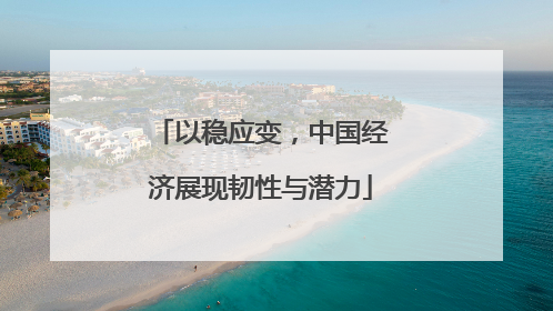 以稳应变，中国经济展现韧性与潜力