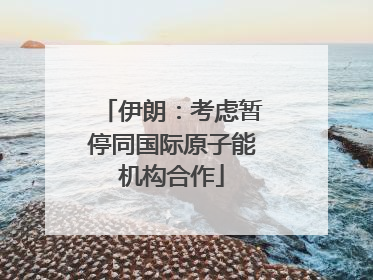 伊朗：考虑暂停同国际原子能机构合作