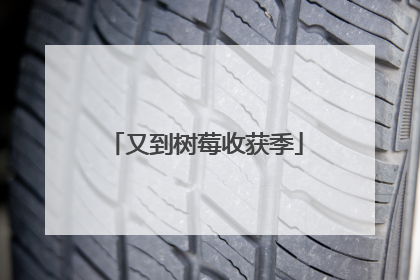 又到树莓收获季