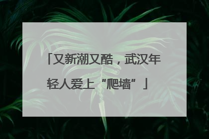 又新潮又酷，武汉年轻人爱上“爬墙”