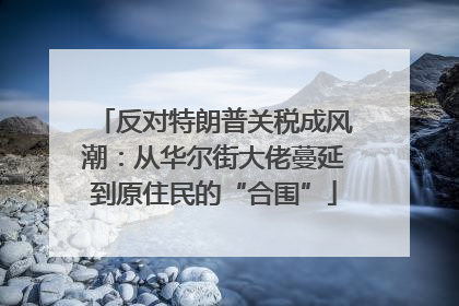 反对特朗普关税成风潮：从华尔街大佬蔓延到原住民的“合围”