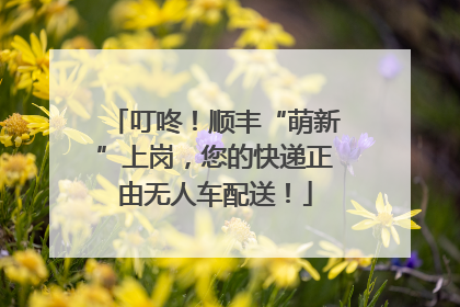 叮咚！顺丰“萌新”上岗，您的快递正由无人车配送！