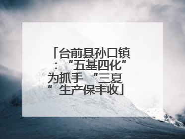 台前县孙口镇：“五基四化”为抓手 “三夏”生产保丰收
