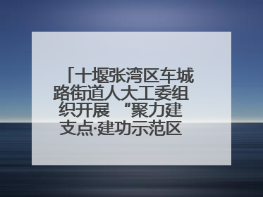 十堰张湾区车城路街道人大工委组织开展 “聚力建支点·建功示范区”代表行动