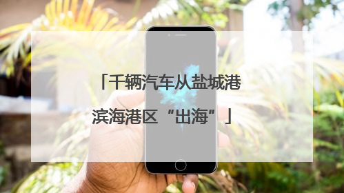千辆汽车从盐城港滨海港区“出海”