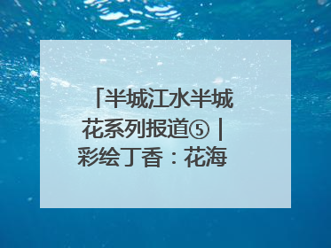 半城江水半城花系列报道⑤｜彩绘丁香：花海映照一座城