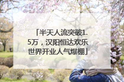 半天人流突破1.5万，汉阳恒达欢乐世界开业人气爆棚