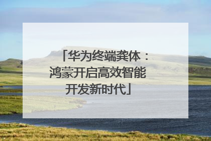 华为终端龚体：鸿蒙开启高效智能开发新时代