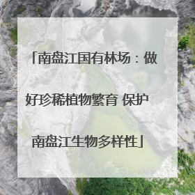 南盘江国有林场：做好珍稀植物繁育 保护南盘江生物多样性