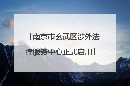 南京市玄武区涉外法律服务中心正式启用