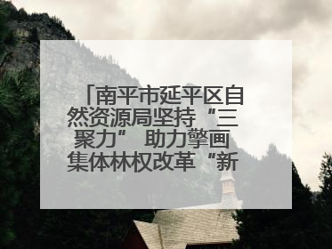 南平市延平区自然资源局坚持“三聚力” 助力擎画集体林权改革“新图景”