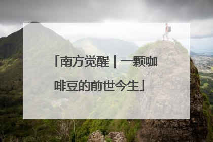 南方觉醒｜一颗咖啡豆的前世今生