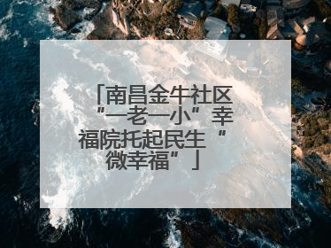 南昌金牛社区“一老一小”幸福院托起民生“微幸福”