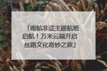 南航非遗主题航班启航！万米云端开启丝路文化奇妙之旅