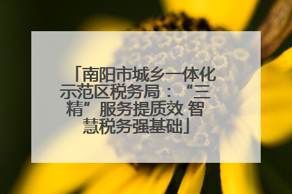 南阳市城乡一体化示范区税务局：“三精”服务提质效 智慧税务强基础
