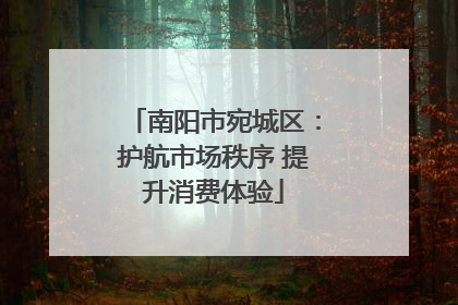 南阳市宛城区：护航市场秩序 提升消费体验