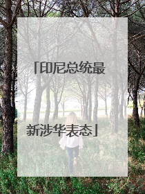 印尼总统最新涉华表态
