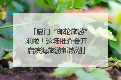 厦门“邮轮旅游”来啦！这场推介会开启滨海旅游新热潮