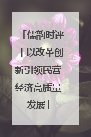 儒韵时评丨以改革创新引领民营经济高质量发展