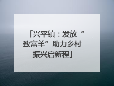 兴平镇：发放“致富羊”助力乡村振兴启新程