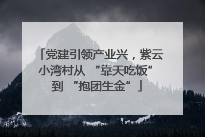 党建引领产业兴，紫云小湾村从 “靠天吃饭” 到 “抱团生金”