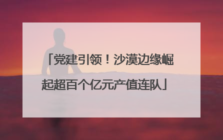 党建引领！沙漠边缘崛起超百个亿元产值连队