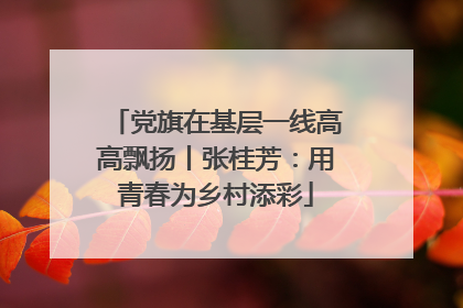 党旗在基层一线高高飘扬丨张桂芳：用青春为乡村添彩