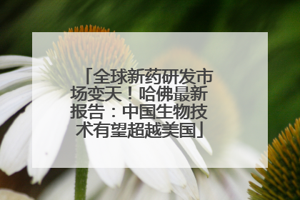 全球新药研发市场变天！哈佛最新报告：中国生物技术有望超越美国