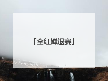 全红婵退赛