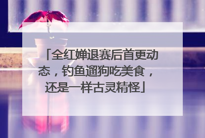 全红婵退赛后首更动态，钓鱼遛狗吃美食，还是一样古灵精怪