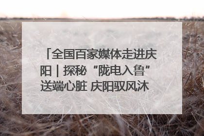 全国百家媒体走进庆阳｜探秘“陇电入鲁”送端心脏 庆阳驭风沐光点亮齐鲁万家