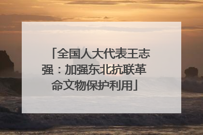 全国人大代表王志强：加强东北抗联革命文物保护利用
