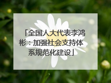 全国人大代表李鸿彬：加强社会支持体系规范化建设