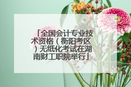 全国会计专业技术资格（衡阳考区）无纸化考试在湖南财工职院举行