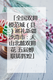全国双拥模范城（县）巡礼新疆沙湾市：天山北麓双拥花 五届蝉联铸辉煌
