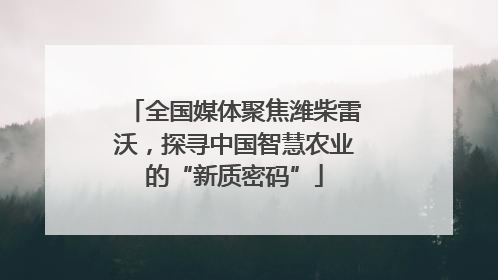 全国媒体聚焦潍柴雷沃，探寻中国智慧农业的“新质密码”