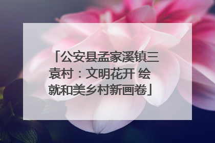 公安县孟家溪镇三袁村：文明花开 绘就和美乡村新画卷