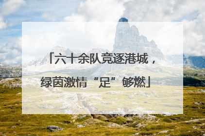 六十余队竞逐港城，绿茵激情“足”够燃