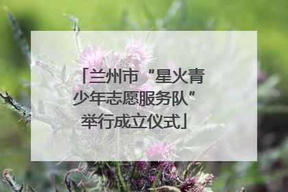 兰州市“星火青少年志愿服务队”举行成立仪式
