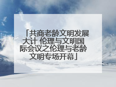共商老龄文明发展大计 伦理与文明国际会议之伦理与老龄文明专场开幕